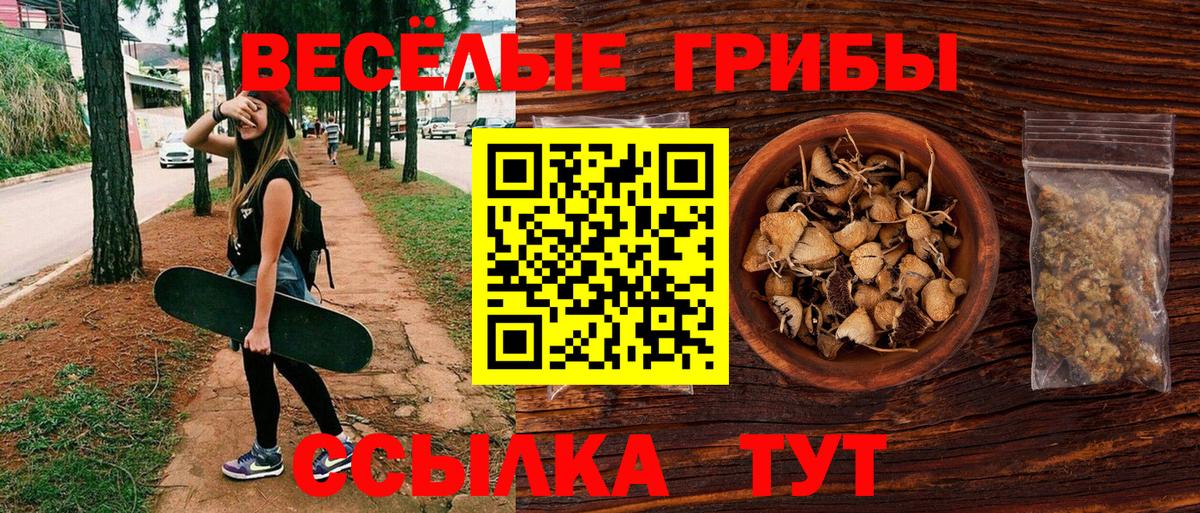 Галлюциногенные грибы мицелий Ликино-Дулёво